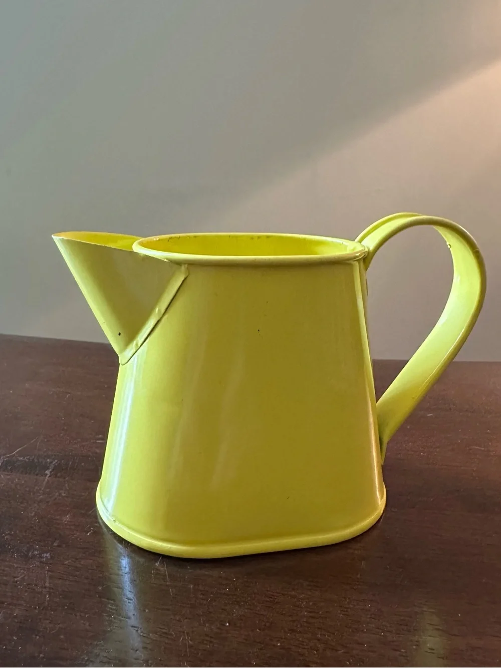Child size metal watering can • succulent container • toy • multi-use